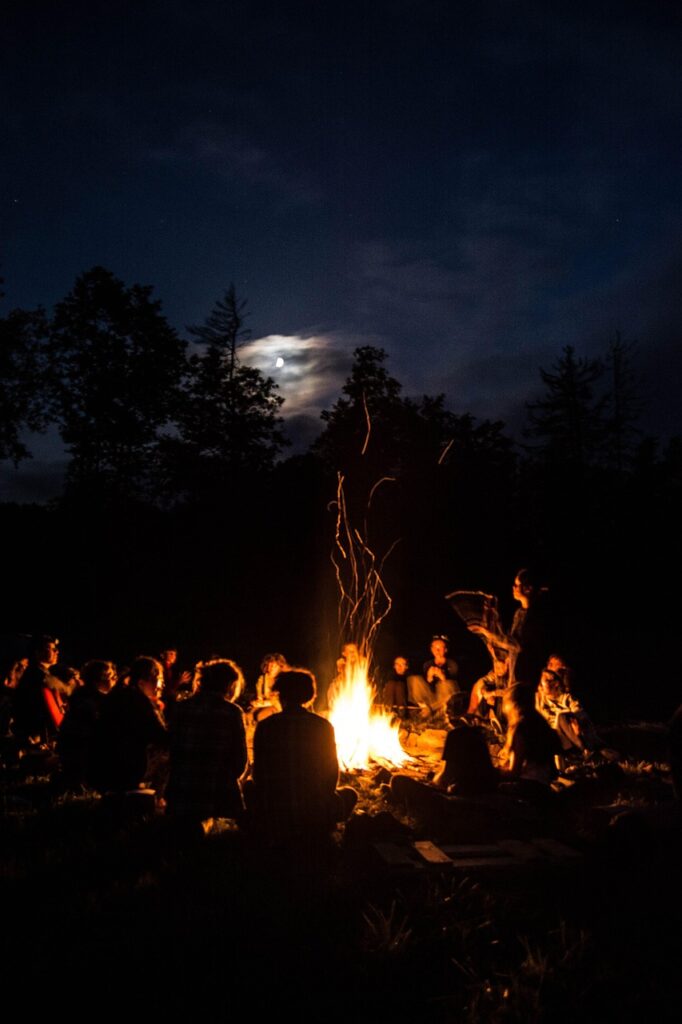 bonfire, people, nature, night, group, community, fire, forest, outdoors, moon, silhouette, dark